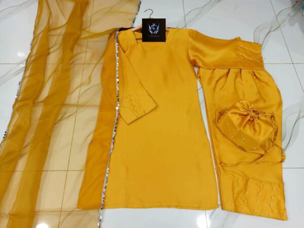 Most Trending Farshi Shalwar Kameez With Potli 4Pcs - Image 2