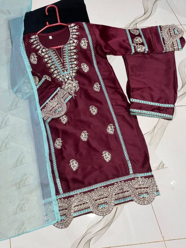 Kids Embroidered Suit with Kayi Work - Image 4