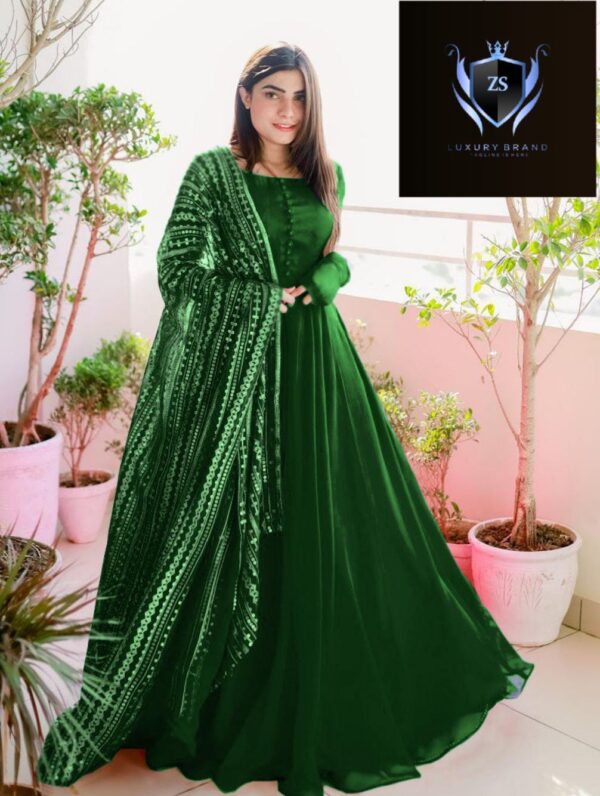 Embroidered Dupatta & Kalli Work Maxi - Image 4