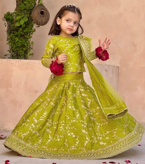 3Pcs Front Embroidered  With Embroidered Skirt And Four Side Emb Dupatta Kids 3Pcs - Image 10